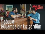 Melek ile Serhat 1. Bölüm - Rüyamda Bir Kız Gördüm