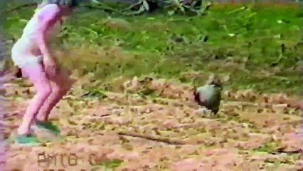 Insanlara Garezi Olan Hayvanlar