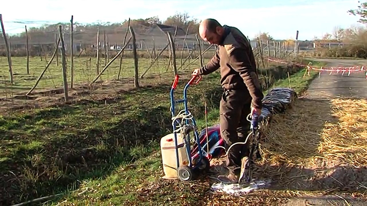 Grippe avaire: impact en Sologne