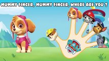 Paw Patrol Finger Family Song Nursery Rhymes / La Patrulla Canina Finger Family