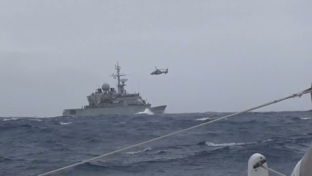 Voile - Vendée Globe : Le Cléac'h croise un drôle d'albatros