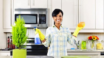 Alexia's Home and Office Cleaning Services - (202) 600-1092