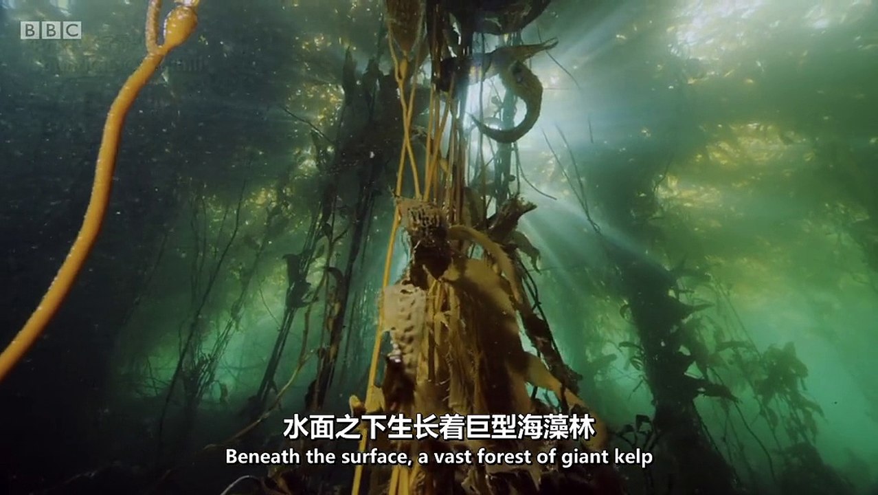 巴塔哥尼亞：地球秘密樂園 3 Patagonia Earth Secret Paradise 3