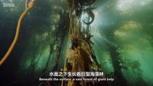 巴塔哥尼亞：地球秘密樂園 3 Patagonia Earth Secret Paradise 3