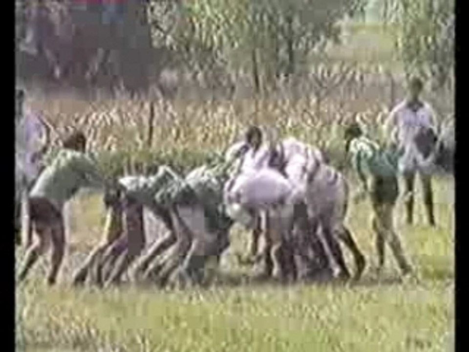 Villeneuve parèage foix  1989  4