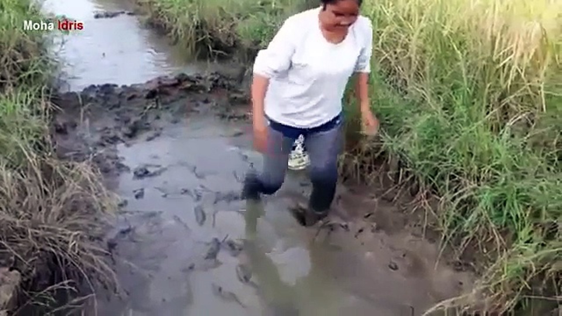 Beautiful Girl Fishing - Amazing Fishing at Battambang - Cambodia Traditional Fishing - (Part 1)