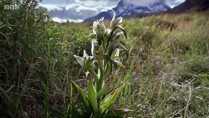 巴塔哥尼亞：地球秘密樂園 2 Patagonia Earth Secret Paradise 2