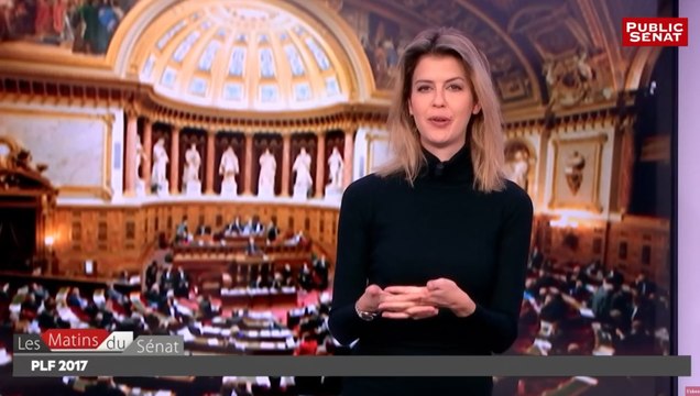 Projet de Loi de Finances & Le PDG d'Air France-KLM auditionné - Les matins du Sénat (30/11/2016)