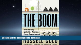 FAVORIT BOOK The Boom: How Fracking Ignited the American Energy Revolution and Changed the World