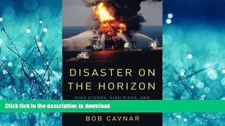 READ ONLINE Disaster on the Horizon: High Stakes, High Risks, and the Story Behind the Deepwater