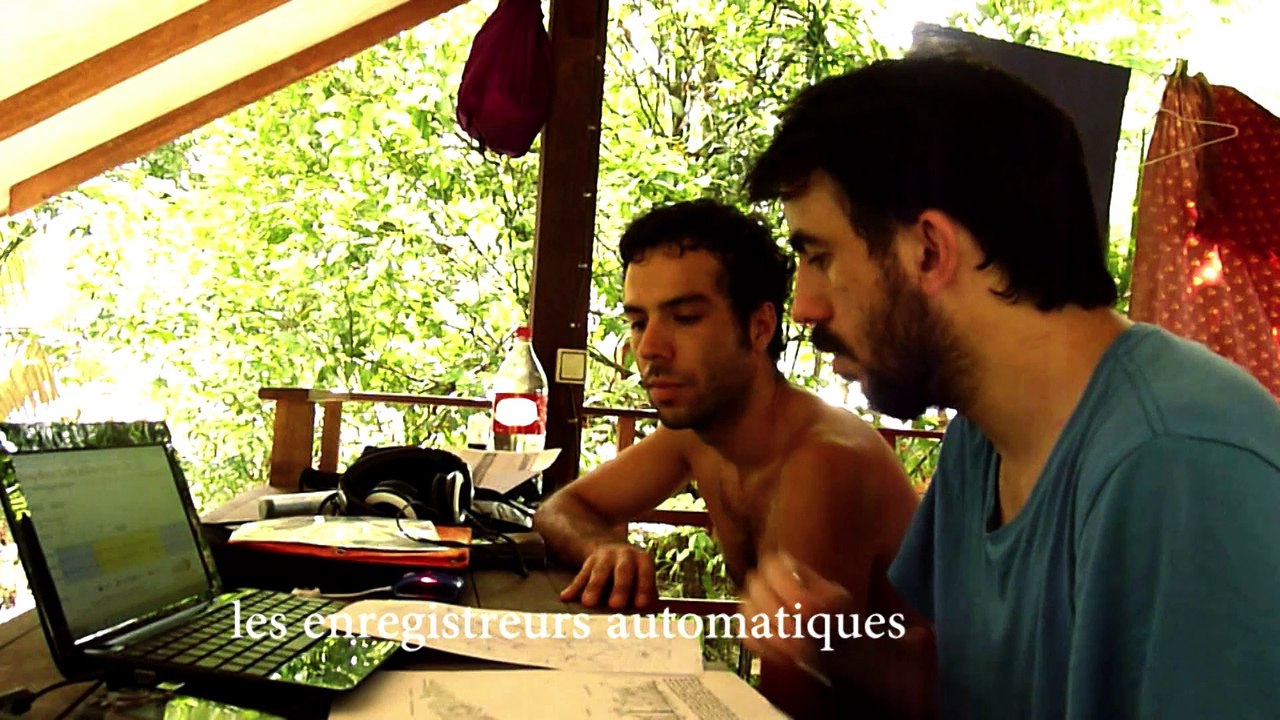 Paysages sonores de la vallée tropicale - Prix du Jury et Prix du Public 2016