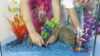 FINDING DORY GIANT EGG SURPRISE Finding Dory Toys FINDING DORY AQUARIUM Family Fun for Everyone