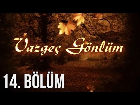 Vazgeç Gönlüm 14. Bölüm
