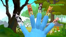 The Finger Family Song on Pussy Cats | Cat Vs Rats | Pet Animals Cartoons Finger Family for Children