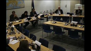 Questions à la Délégation française du Comité Économique et Social Européen