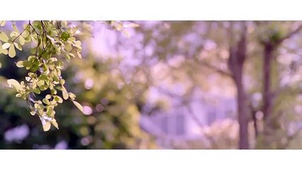 cindy yen - wo ai wo zi ji