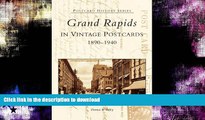 FAVORITE BOOK  Grand Rapids in Vintage Postcards, 1890-1940 (Postcard History)  BOOK ONLINE