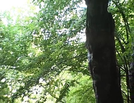 Vivre dans le Jura de la préhistoire à nos jours _ l'archéologie témoigne