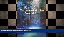 EBOOK ONLINE Lonely Planet Cancun, Cozumel   the Yucatan (Travel Guide) READ EBOOK