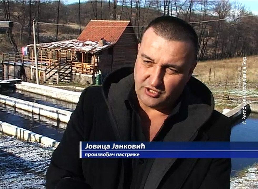 Dobra ponuda pastrmke iz ribnjaka , 30. novembar 2016. (RTV Bor)