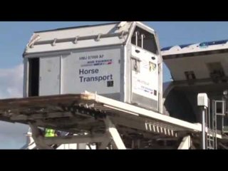 Dünyanın En Pahalı Atları İstanbul'da