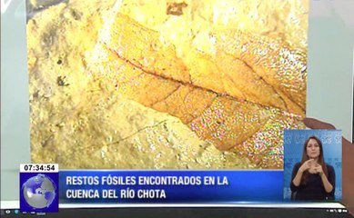 Encuentran fósiles de mastodontes y perezosos gigantes en la cuenca del río Chota