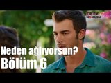 Çilek Kokusu 6. Bölüm - Aslı Neden Ağlıyorsun
