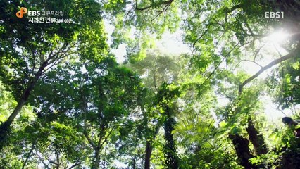 Vanishing Human-2-Survival-20161129