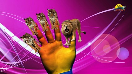 attack animals Finger Family Nursery Children 3d English Rhymes | 3d Animals Collection