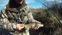 Fly Fishing North Park Colorado