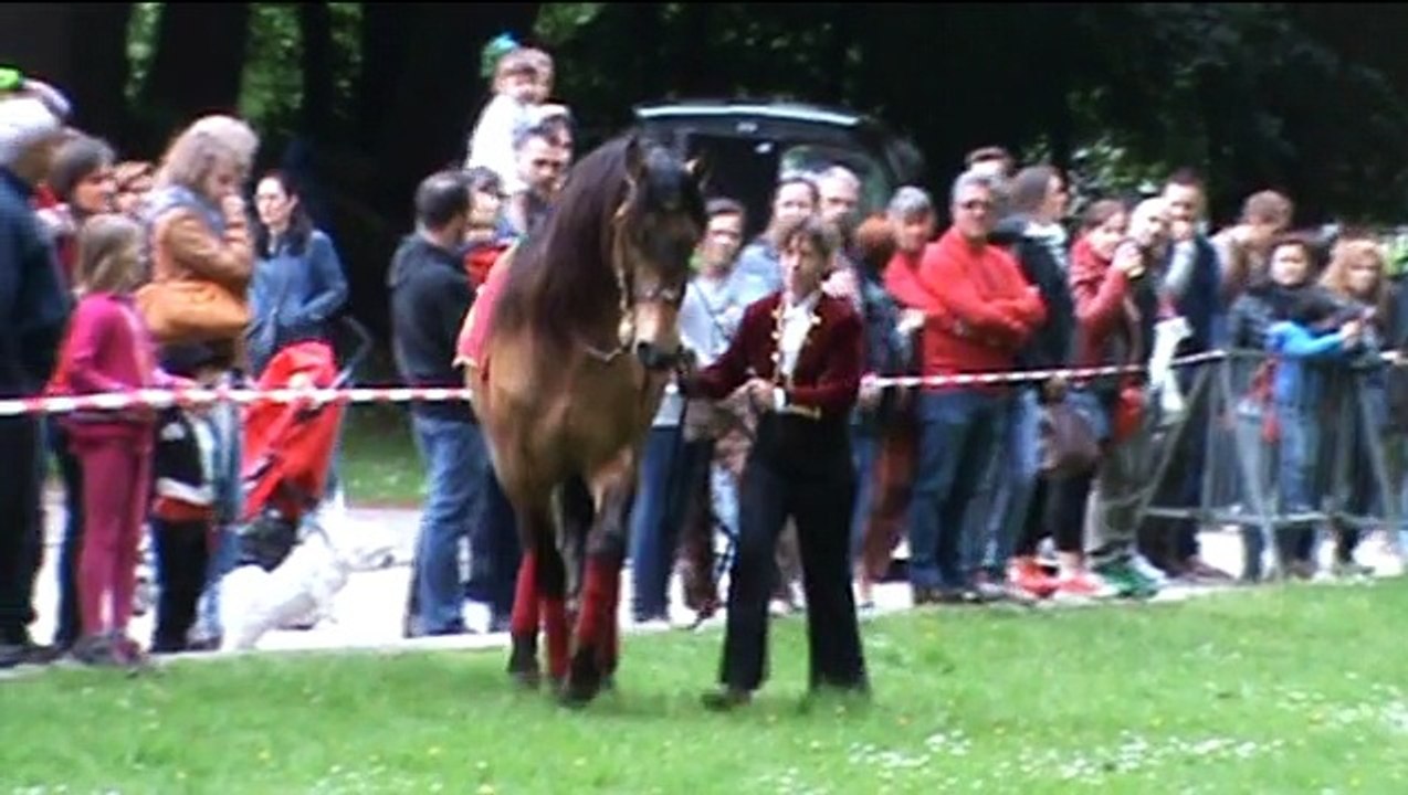 Pure Race Espagnole 2016, Cesar