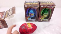 Giant Dinosaur Colors Eggs After 24 hours incubation Toys 거대 공룡 칼라 알 부화 시키기 장난감 놀이