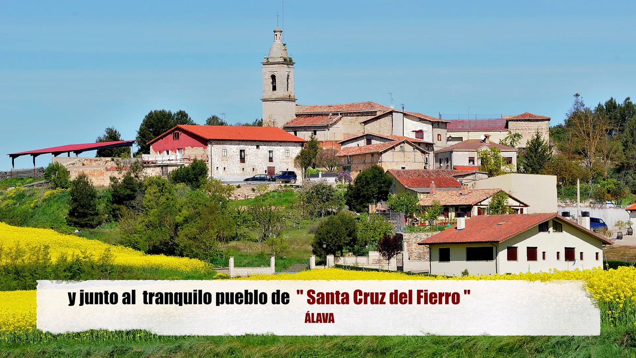 Perdiz roja para repoblación de cotos de caza. Granja de perdiz roja Serjoran.