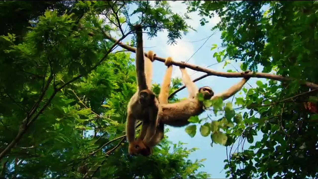 Rollercone - Rester eveille (Trivera Traxx Dub)