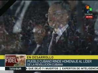 Sheiman: Fidel es un ejemplo de defensa de ideales de la libertad