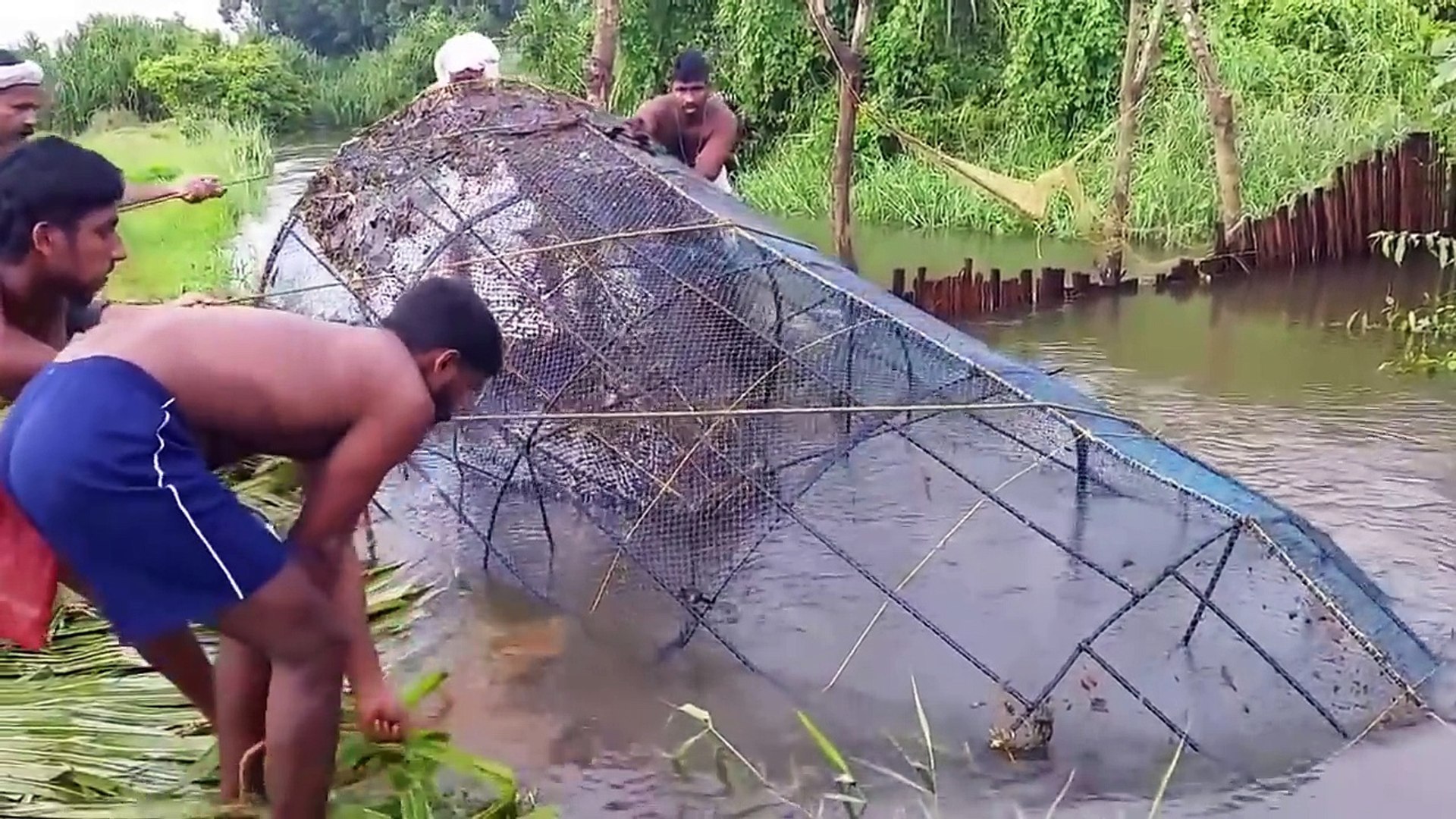 ⁣wow Amazing Fishing - India Traditional Fishing