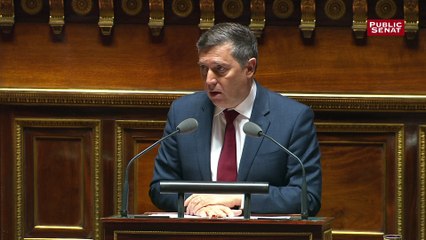 Le Sénat rejette le budget 2017 sans débat