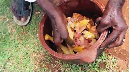 Country Chicken prepared by my daddy in my village _ Traditional Style Cooking