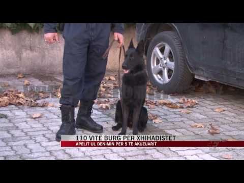 Apeli dënon me 110 vite burg 9 xhihadistët - News, Lajme - Vizion Plus