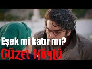 Güzel Köylü - Eşek mi Katır mı?