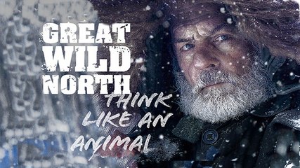 Великий дикий север 1 серия Новые испытания (2016)