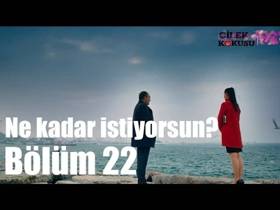 Çilek Kokusu 22. Bölüm - Ne Kadar İstiyorsun?