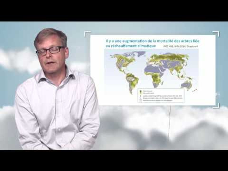 Impacts du changement climatique sur les écosystemes et la biodiversité