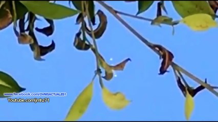 UFO Cigar Mothership in tijuana Mexico and Japan.