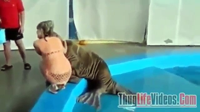 Unexpected Thug Life - Walrus Ass Slap