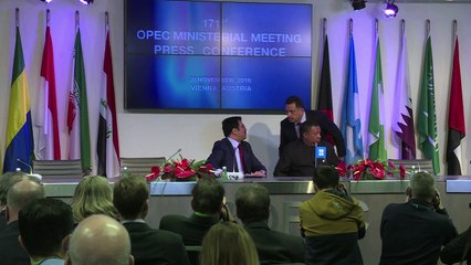 OPEC boosts oil price with output cut