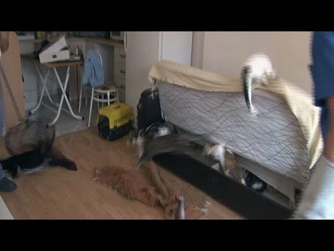 Gözlerinize İnanamayacaksınız!