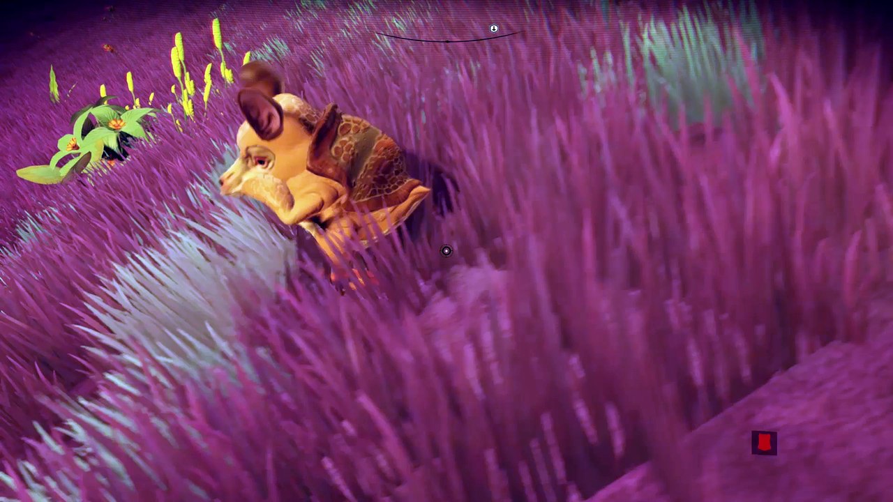 Look at this little guy