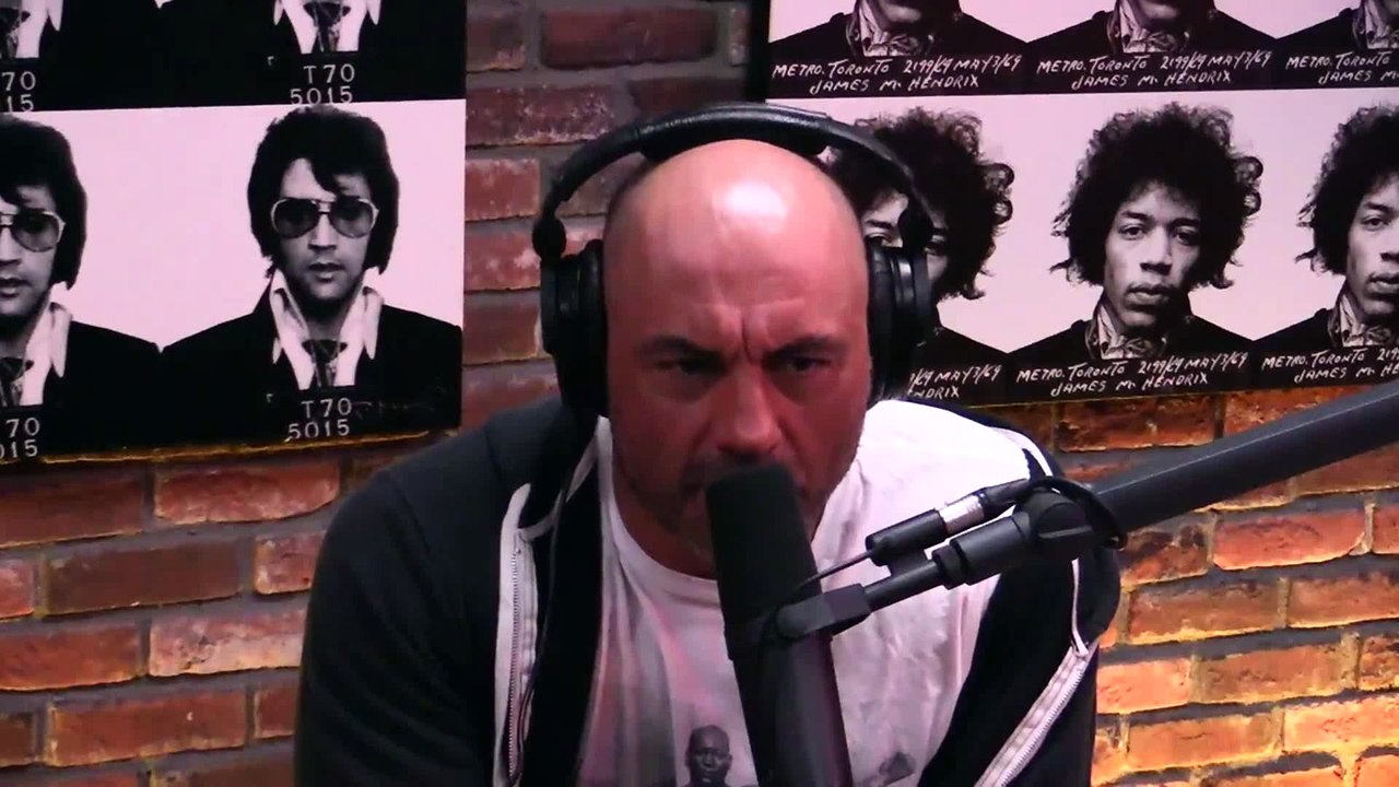 Joe Rogan on Personality Psychologist, Innocuous Ideologies, Success is Oppression