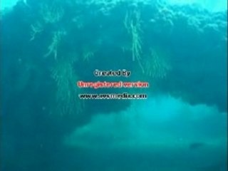 Plongée Aresquiers site couloirs Août 2007 (court)